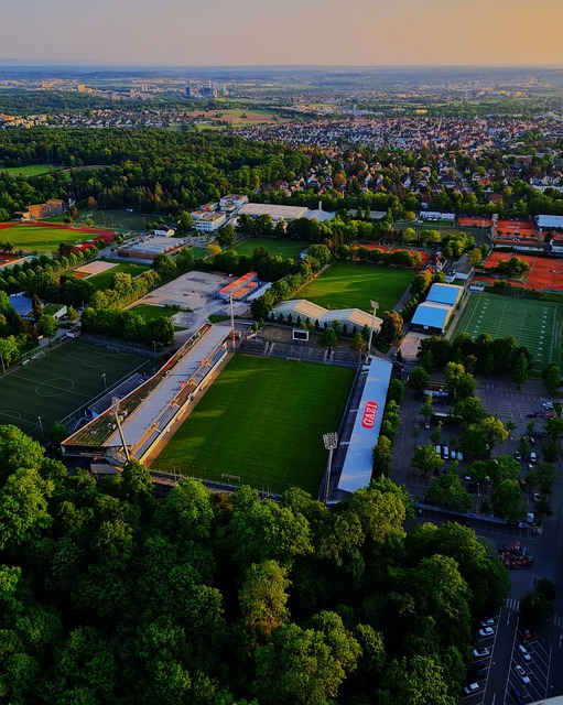 赢得了世界 赢得了世界