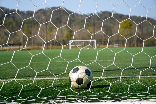 方的知名度 方的知名度