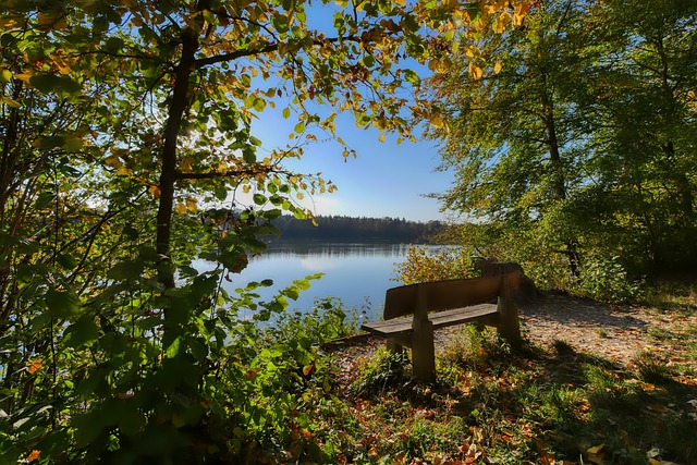 员的失落之 员的失落之