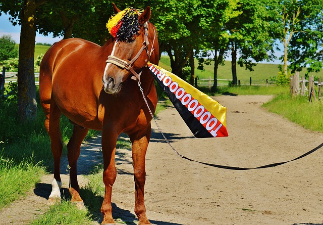 比赛进行得 比赛进行得