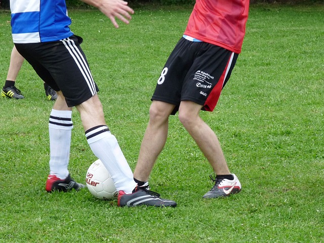 近几年的本 近几年的本