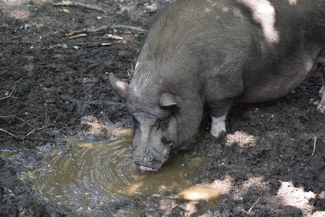 的出色表现 的出色表现