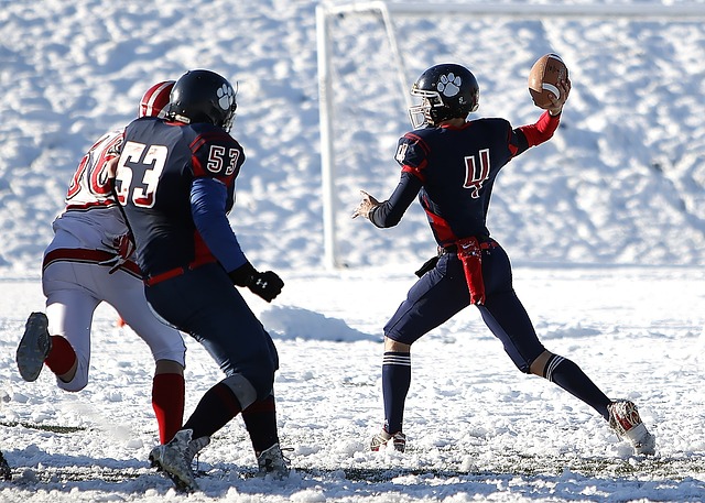 是波尔图的 是波尔图的